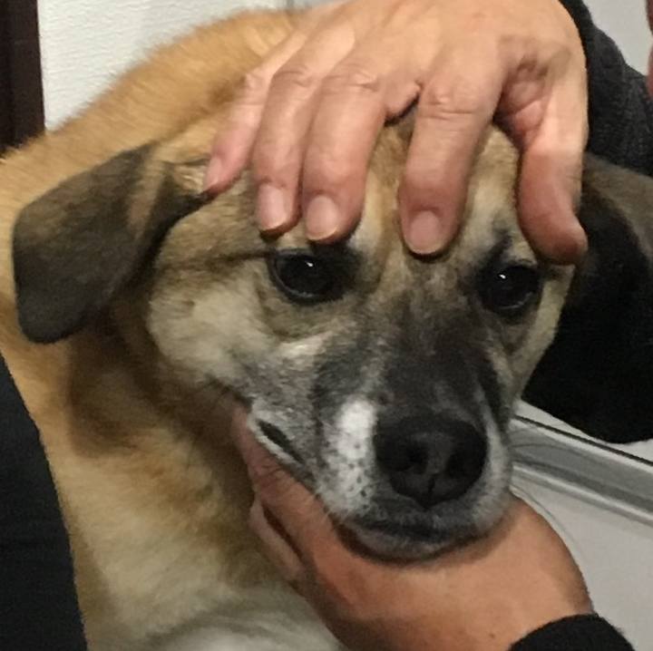 071e1a18 5bac 487e 8ece 0285a2b0c3a8