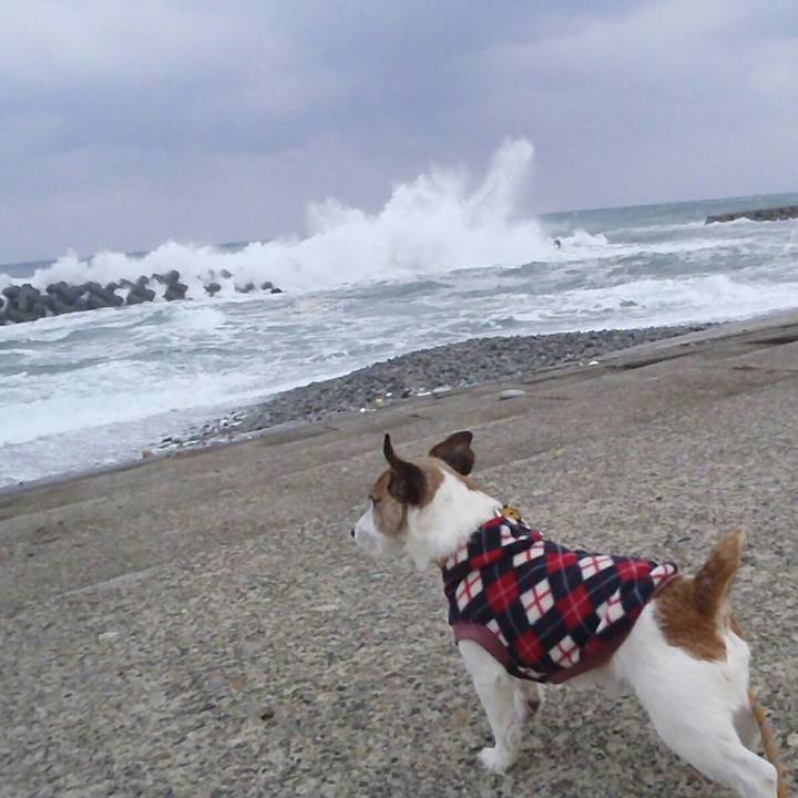 071e59bb 106d 4f7f 84a7 f875fe704aff