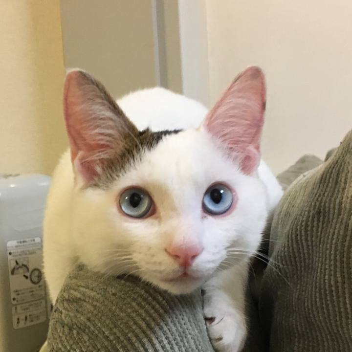 071eb053 6e22 4cb5 9472 0972d4a9017d