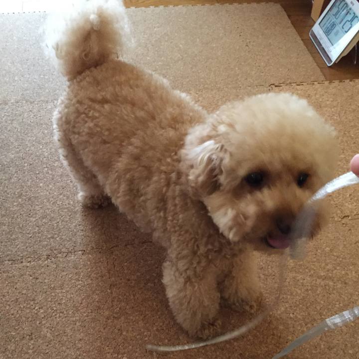 071ee9f3 ddaa 4905 8770 cb658437c57a