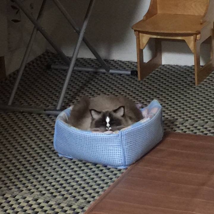 071fcc72 56d4 4690 96fb 788ed8164e20