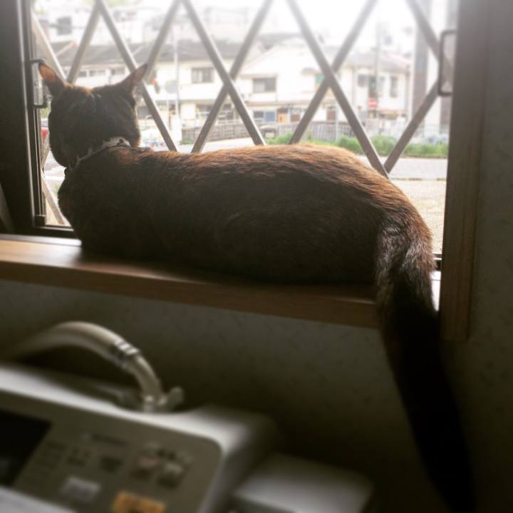 072117c9 fbf3 46d5 9ae4 08f8e17d1851