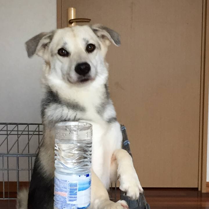 0721244a 3680 417f 9c7b c8e14acc35c1