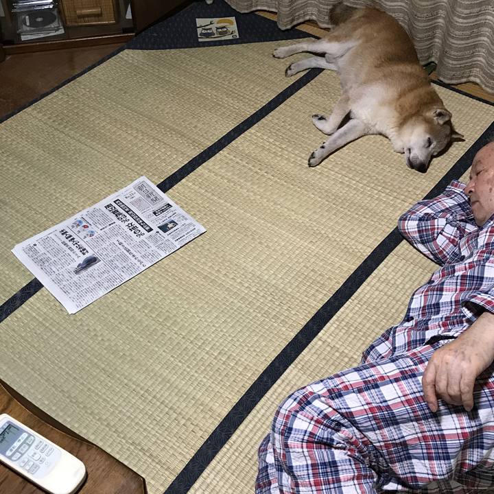 0721a2a3 0241 4d2f bc0b 845171d3201f