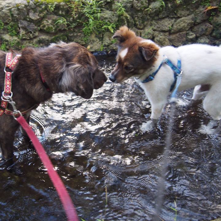 0721ba6e 3d5e 4398 996b 55c27af4b8be