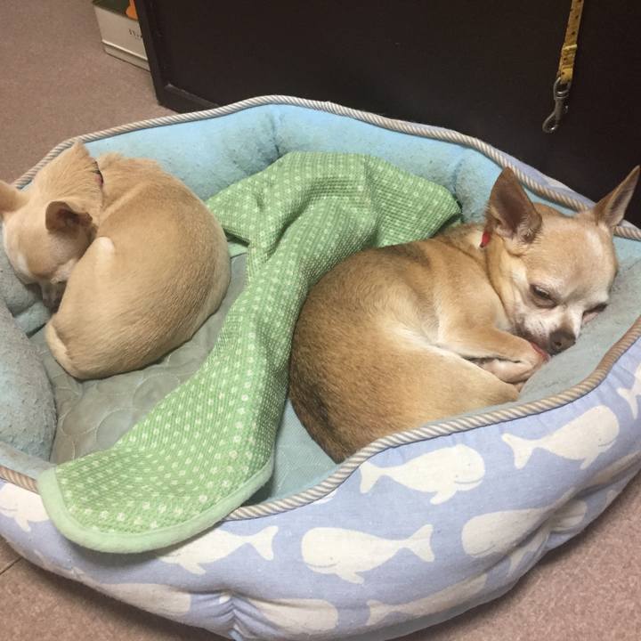 0721e11d d589 4842 9638 b746dd164711