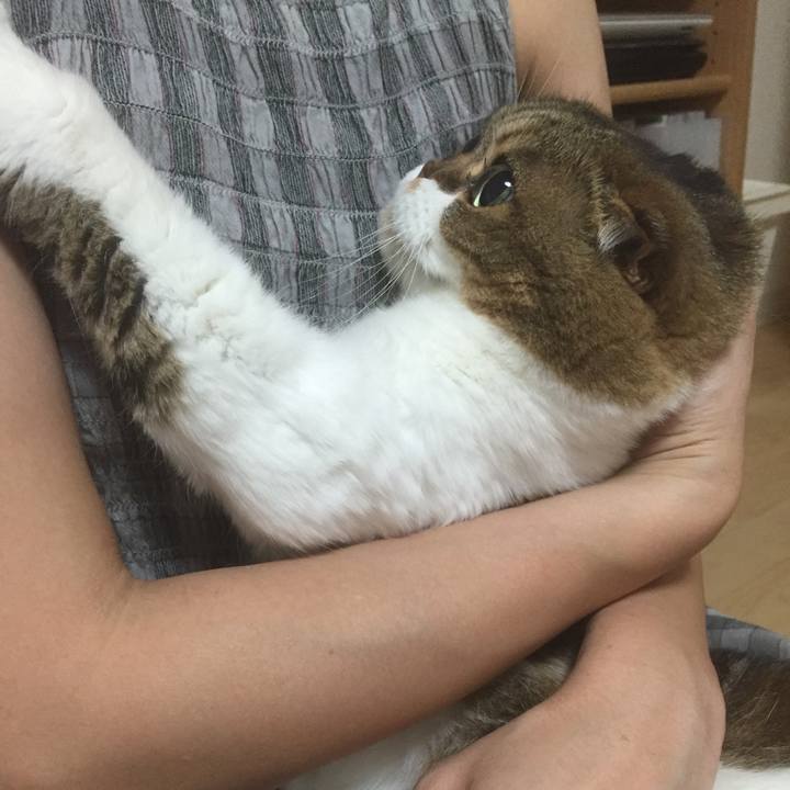 0721f193 13f5 4d32 a9dd 2272fd0660af