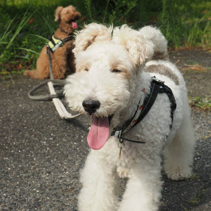 07230b70 2abd 4719 9a4d 932a645a5c87