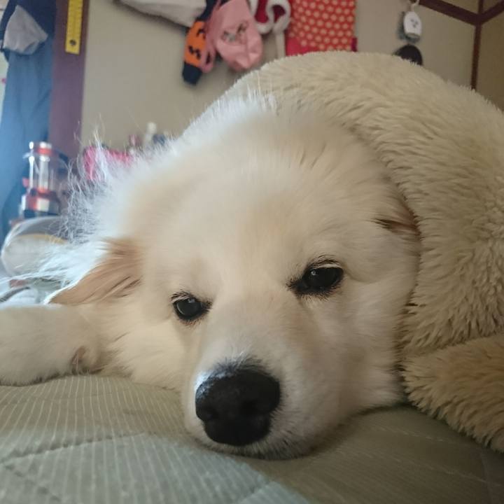 07231e6d d9ae 4319 b5cd 74c1068cb115