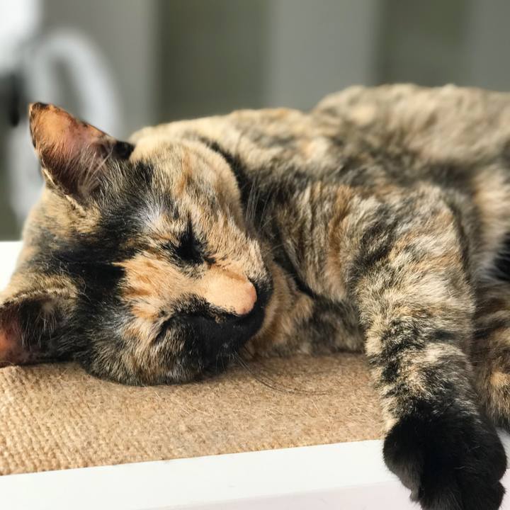 07232c38 9d47 4715 9cd2 1734d06cafe0