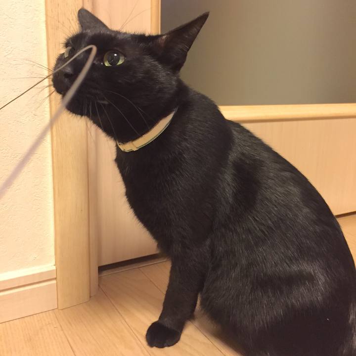 07233537 5572 4f68 9db1 52db50ca9083