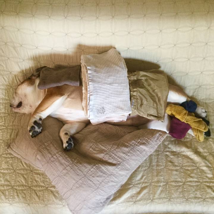 07236e9c 7af7 45cc 831e ba79aa367995