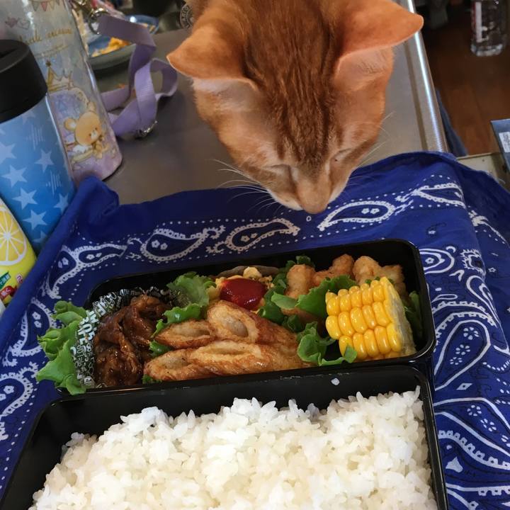 0724285b f7cc 4905 8936 dbc8500f1e95