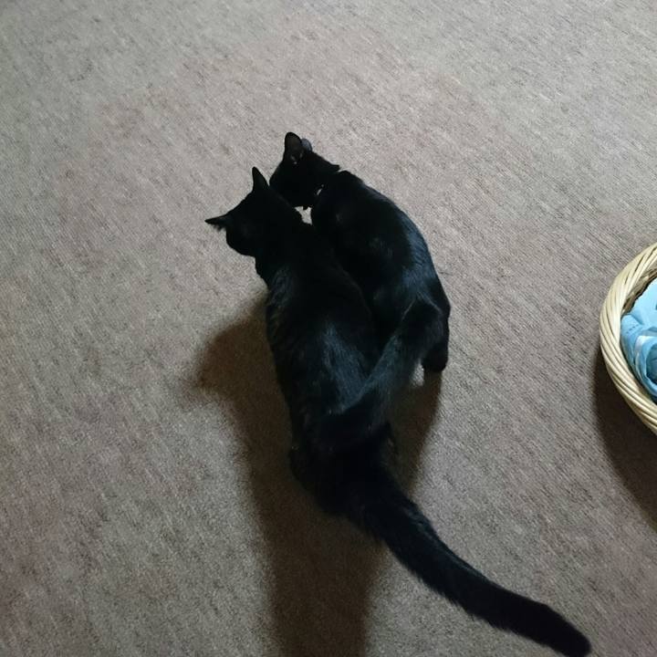 07243491 7dd8 4f12 bdd1 f30a1164b795