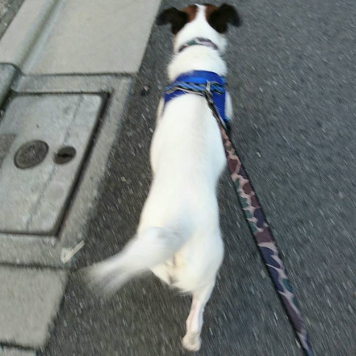 0724b598 94e7 4a05 80fb 7ef19ed156eb