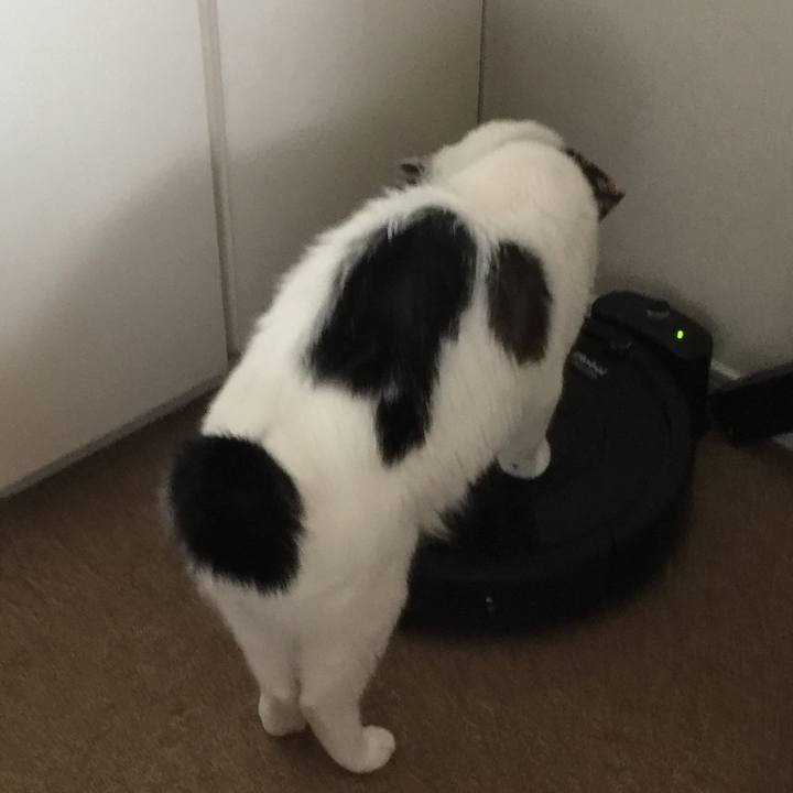 0724e664 17c8 45cd 9413 1a2e41634a52