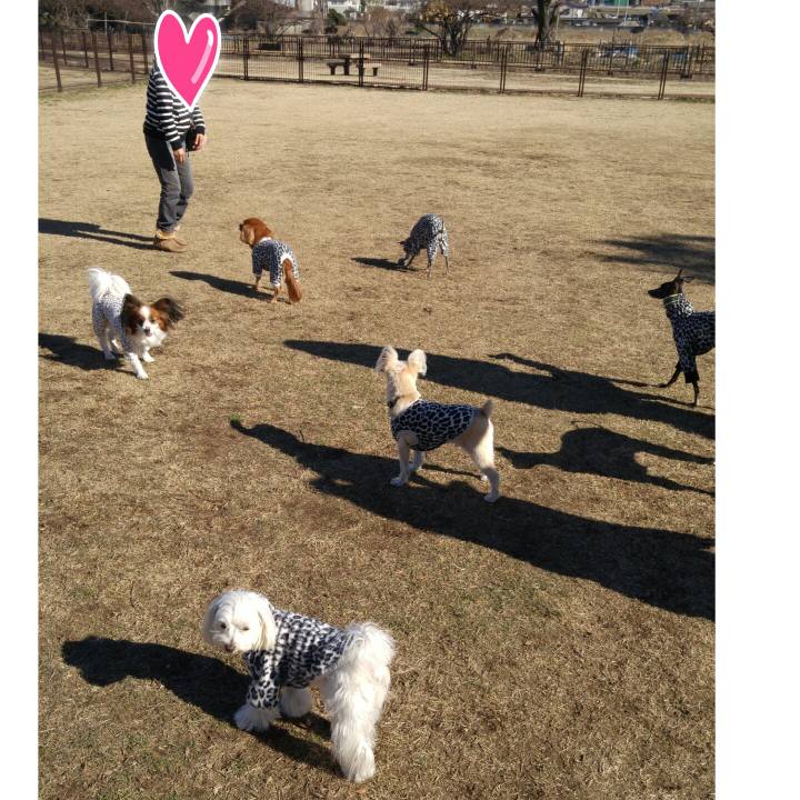 0724ee34 7976 4285 b3de e1fe20ea639a