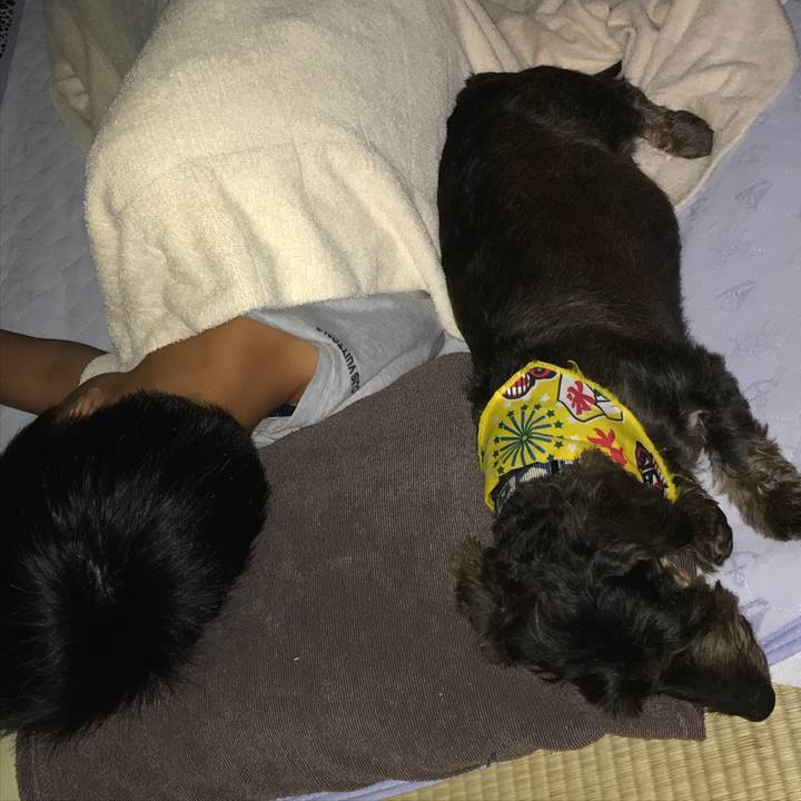 0725cb77 561a 4b91 b59e 86e803f33ad8