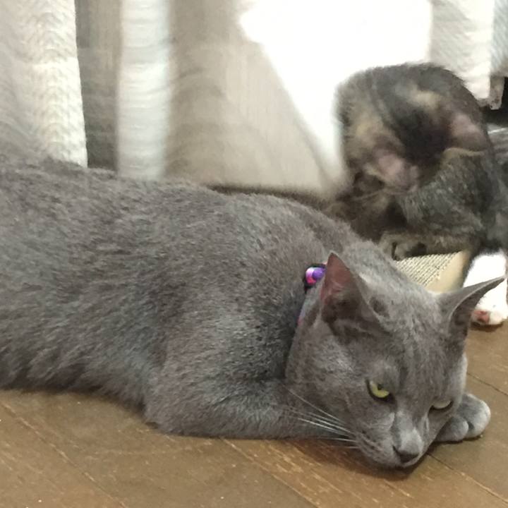 07265e98 9201 4df5 9fa4 c12d230c54a5