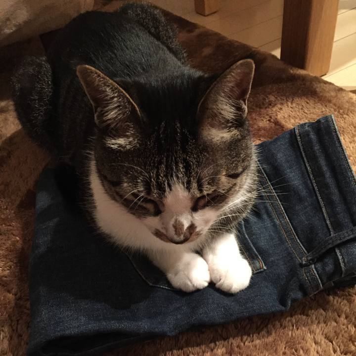 07270a4e 605a 47f0 ad74 0589380fe5c5