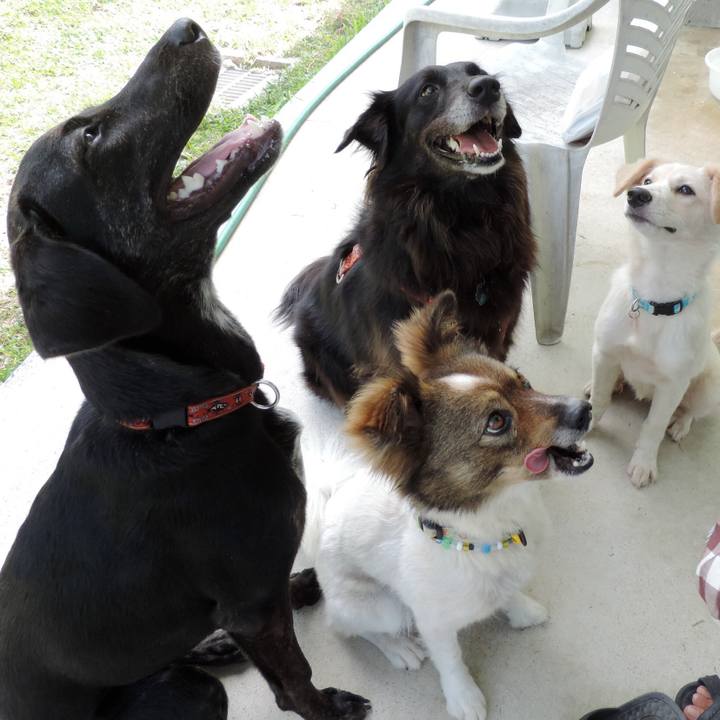 0727142d ef17 4719 8896 c05c687ca8e5