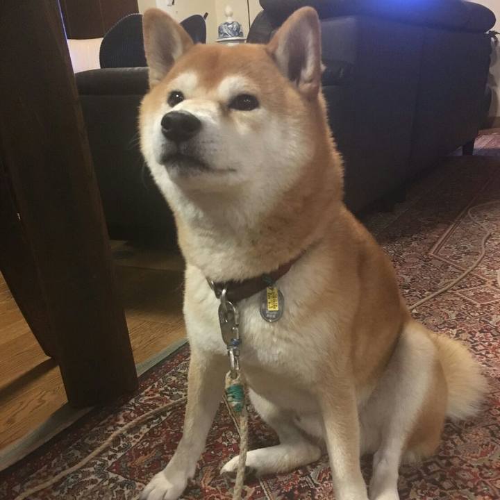 072728f1 29c9 44f9 a413 a88f4d821618