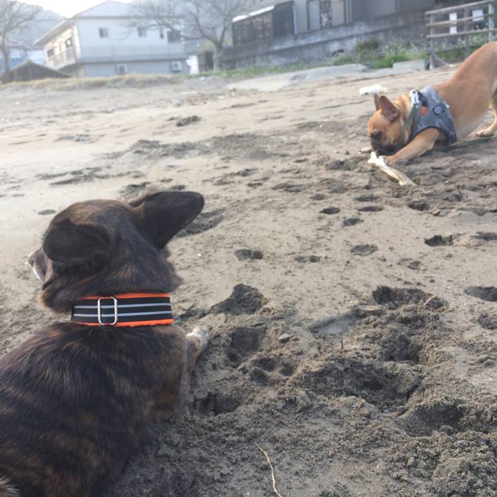 07289a3d 64d7 4b5d a943 f3ba74037770