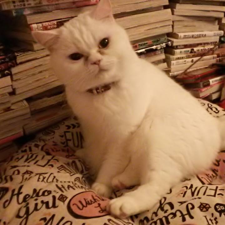 0728e46e b409 432f b2be 8cf37bbc596b