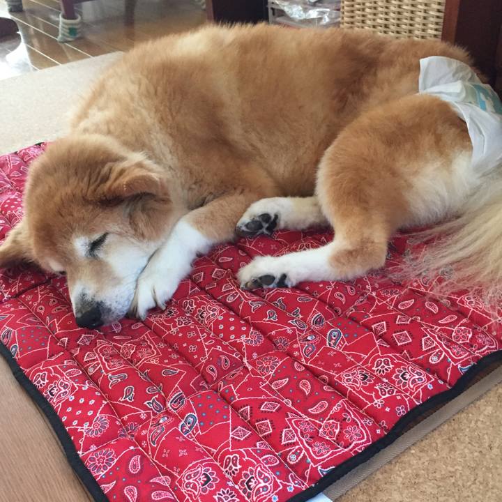 0728e482 188b 4aaf 8a2c b488d8d33c3c