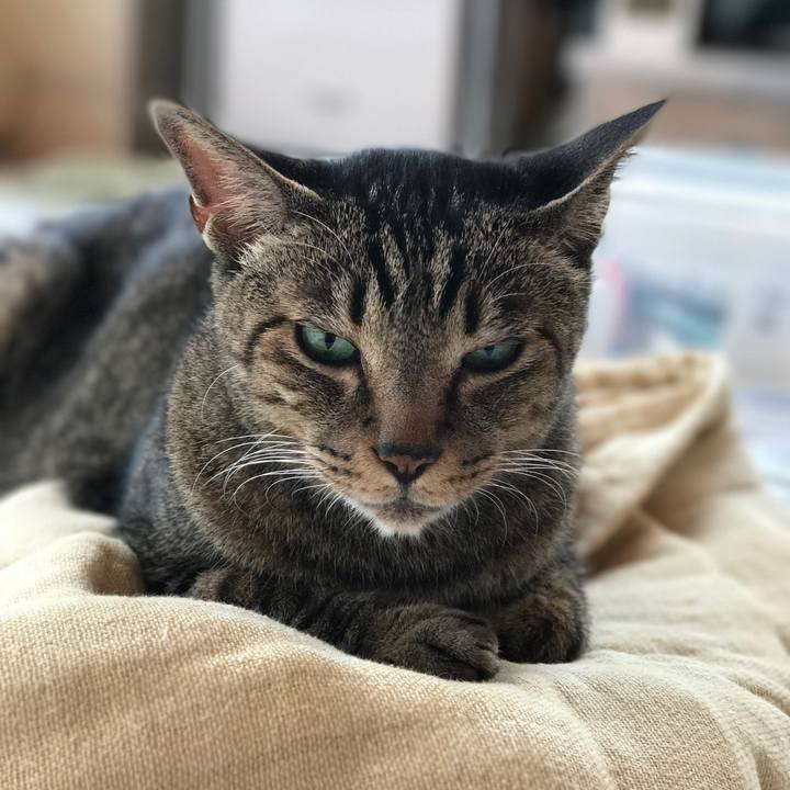 07295787 5d5b 46d5 adc7 4050e9f34d27