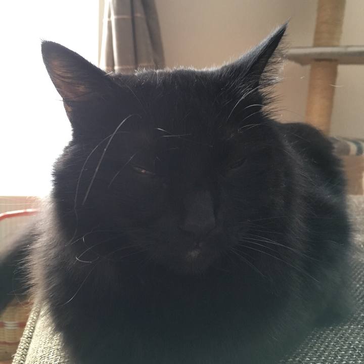 0729738a ea3c 42d0 9649 77a0a8d56a7e