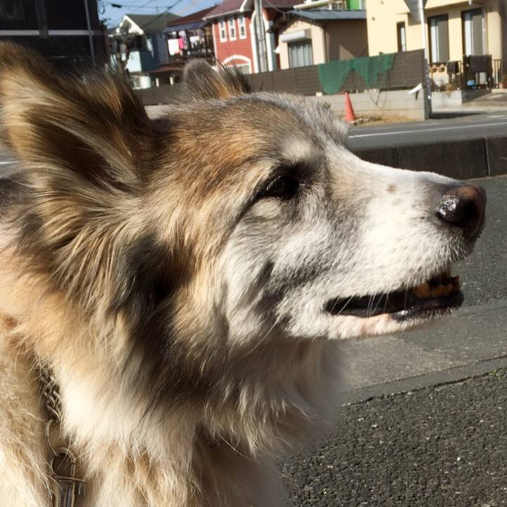 0729caf8 64e4 4866 b260 49d50b02ebb0