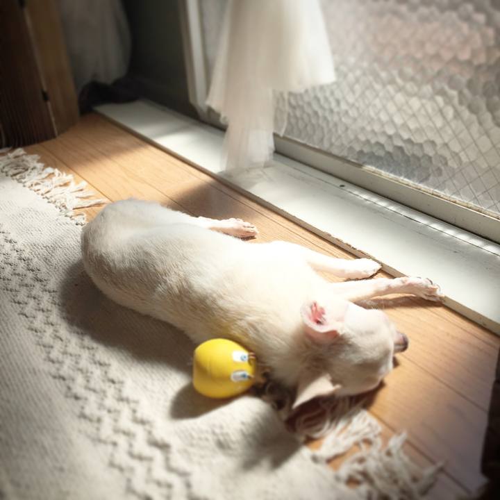 072a823e b51e 48d9 b9d6 e90efc6fb5a7