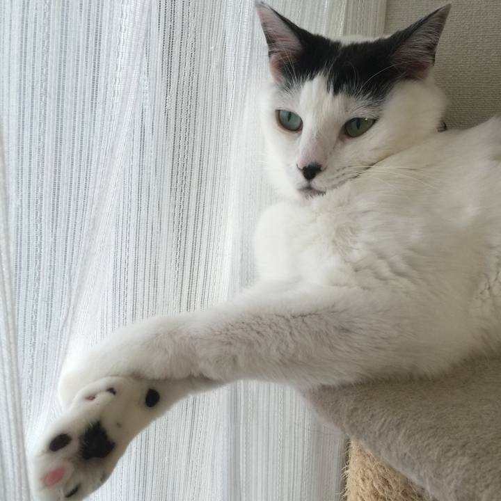 072b8203 4cc4 47f5 bb1d 594fc188260c