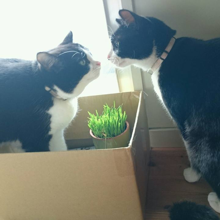 072bba92 2417 46e2 930f a71794e287bd