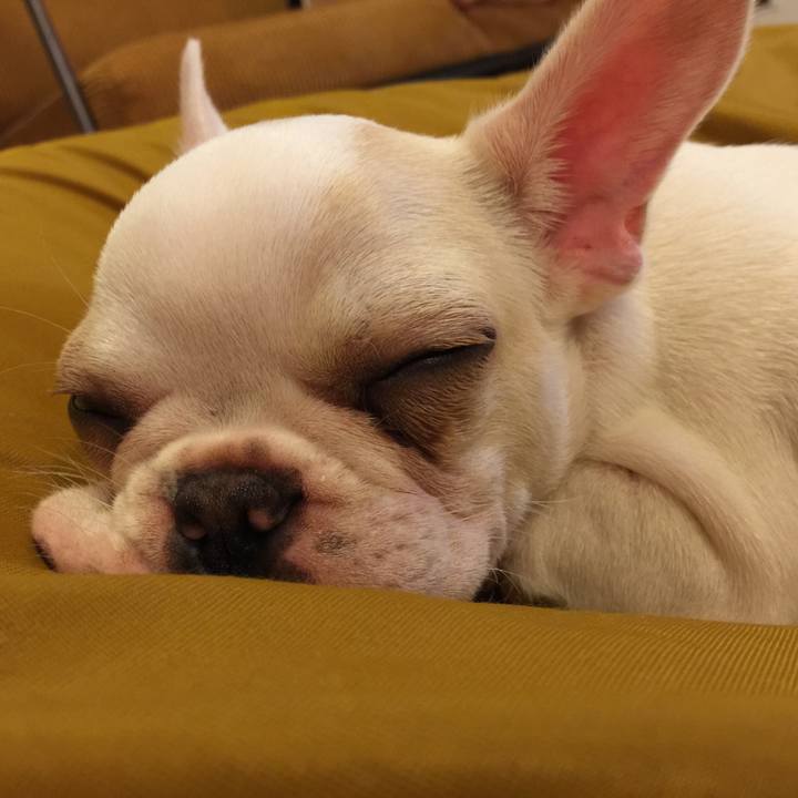 072bd5e4 7e08 4e64 877a 115c2d5f87e9