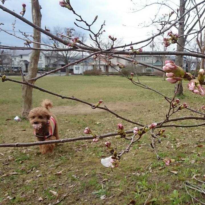 072bd975 cd82 4b17 aad5 10706c0131b0