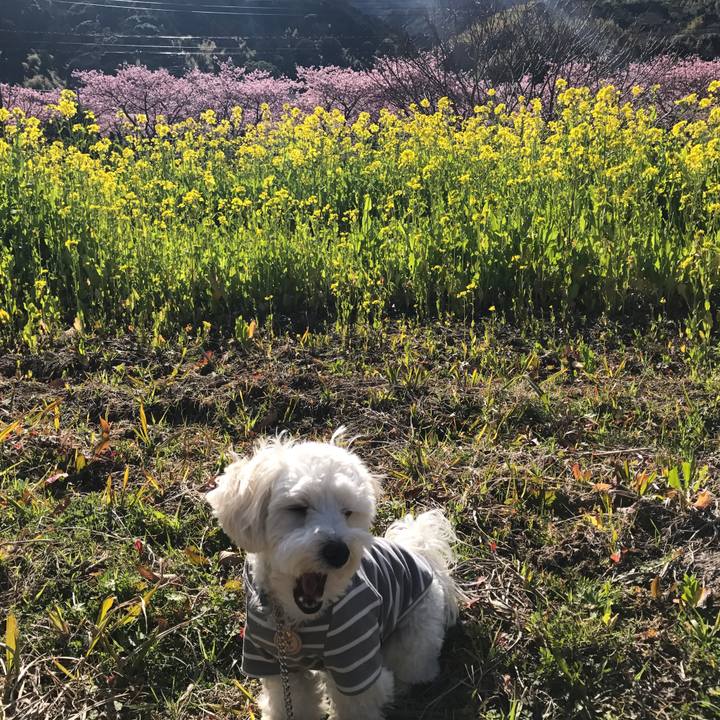 072bf402 ffa0 4a47 bc6a f2f2ef1e580d