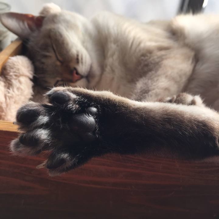 072c2d51 81ac 441a a167 9c40215c559e