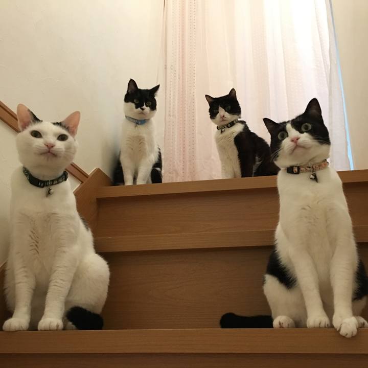 072c978e 005a 41a4 9dfa bb1ad33e7033