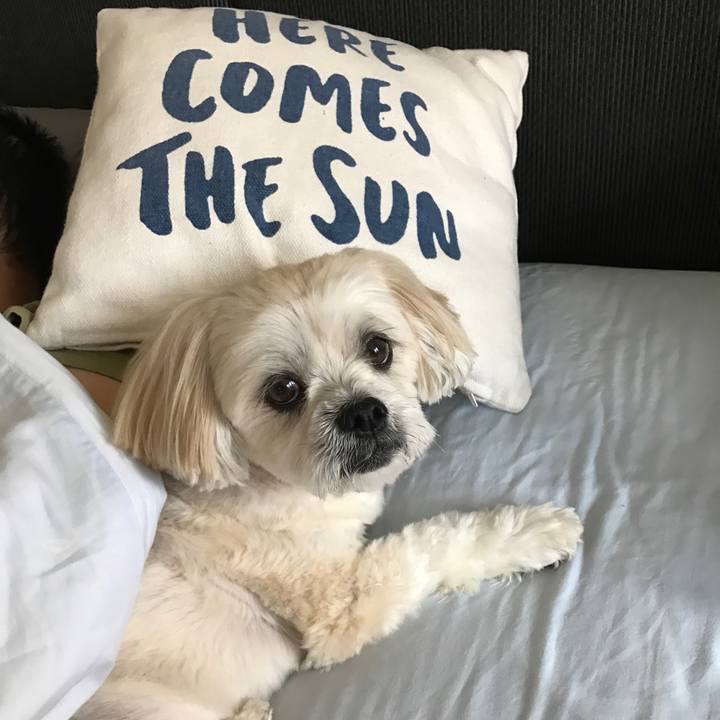 072ca0cd a370 4279 80cb a718d7faee6f