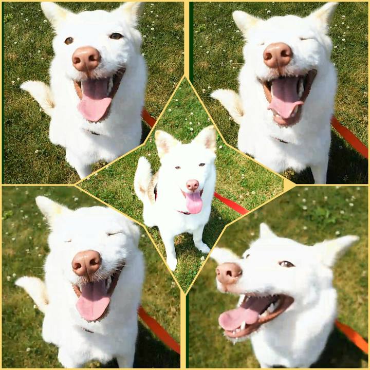 072d0cb9 9cc2 4a73 95c9 6d9101b9a499