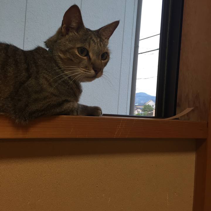 072d5538 cdad 48ba b060 b7a64e08426f