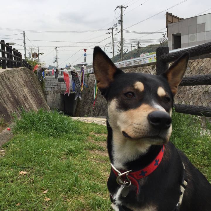 072da354 2461 484a 9109 dc90f4629ffb