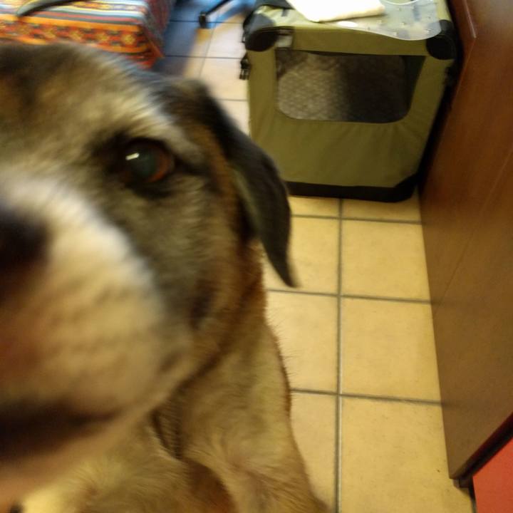 072db94d 7488 4962 9f75 8ff06c5b0f4c