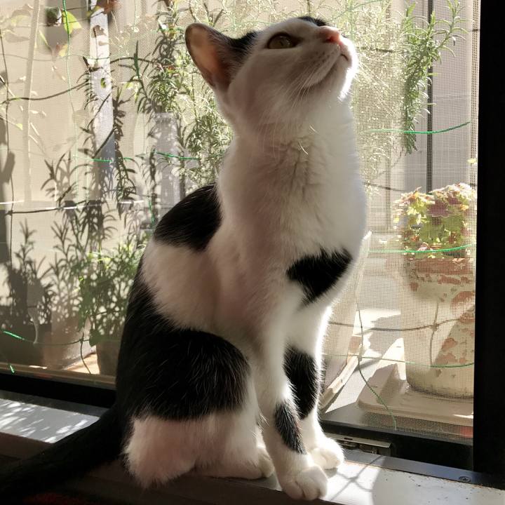 072e3b59 4114 4629 8f26 37ff3f53dde0