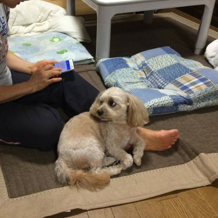 072e54b8 69bc 4ea9 a817 390fe9ba4346