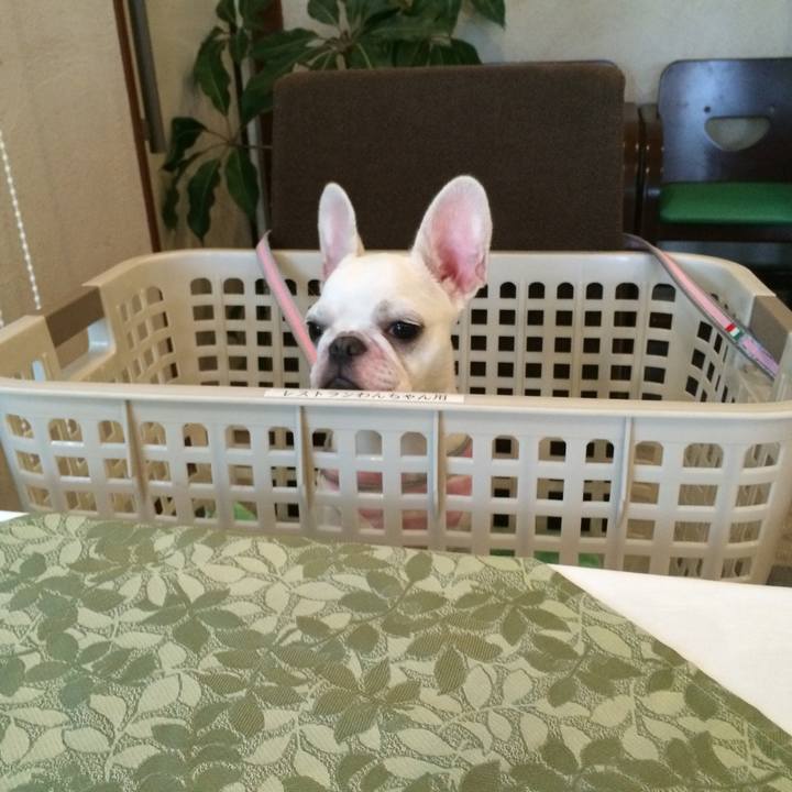 072e54c9 6fdd 4888 ac7f e8e2ce5f25ee