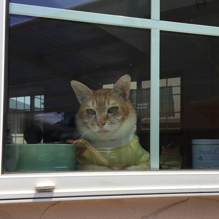 072e5b59 a8c9 4eb3 a78e d3caeec74fb8