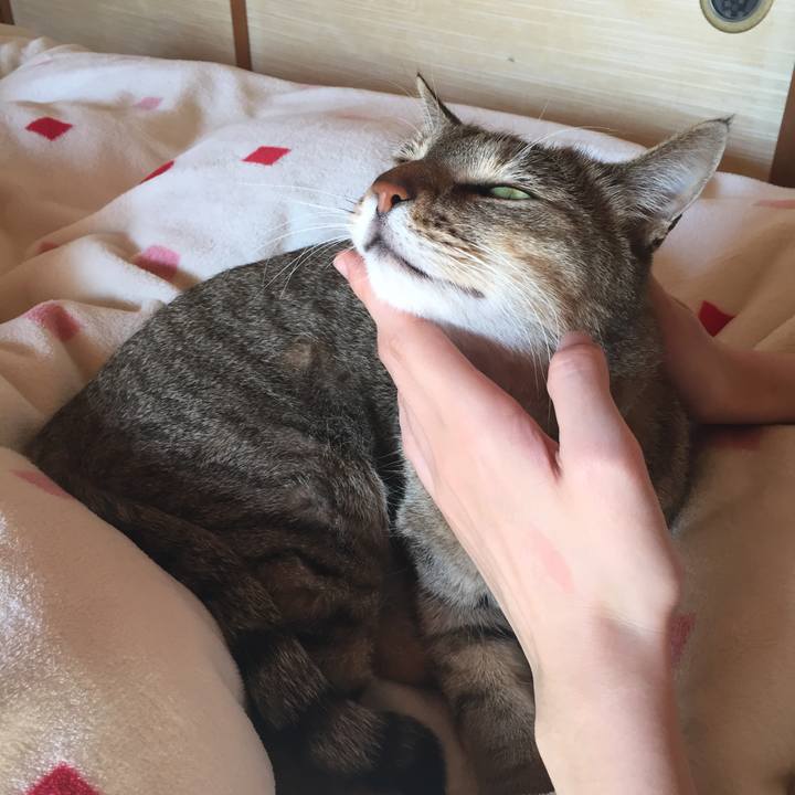 072e7f1f 9ab2 4dfb 8503 34d56ddc0bbf